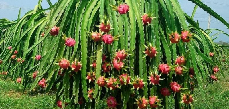 Z5468028633732 Ac0ddff353bb3e7bbaa49a75f997ac4e